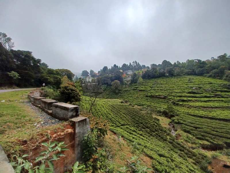 21 CENTS PLOT FOR SALE IN COONOOR