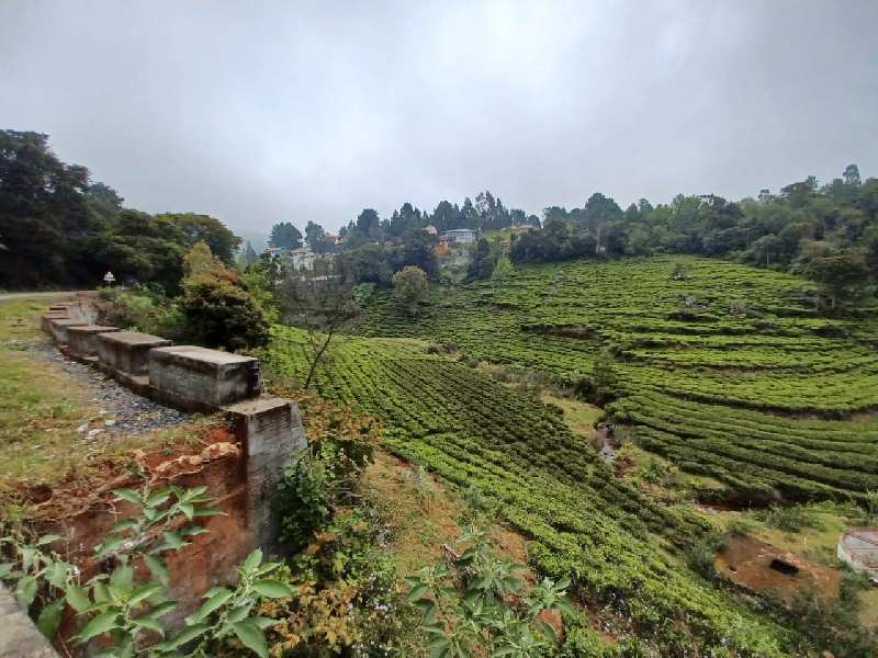 21 CENTS PLOT FOR SALE IN COONOOR