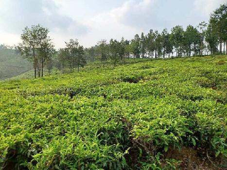7 ACRE LAND FOR SALE IN COONOOR