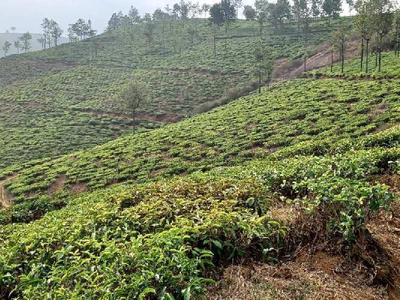 7 ACRE LAND FOR SALE IN COONOOR