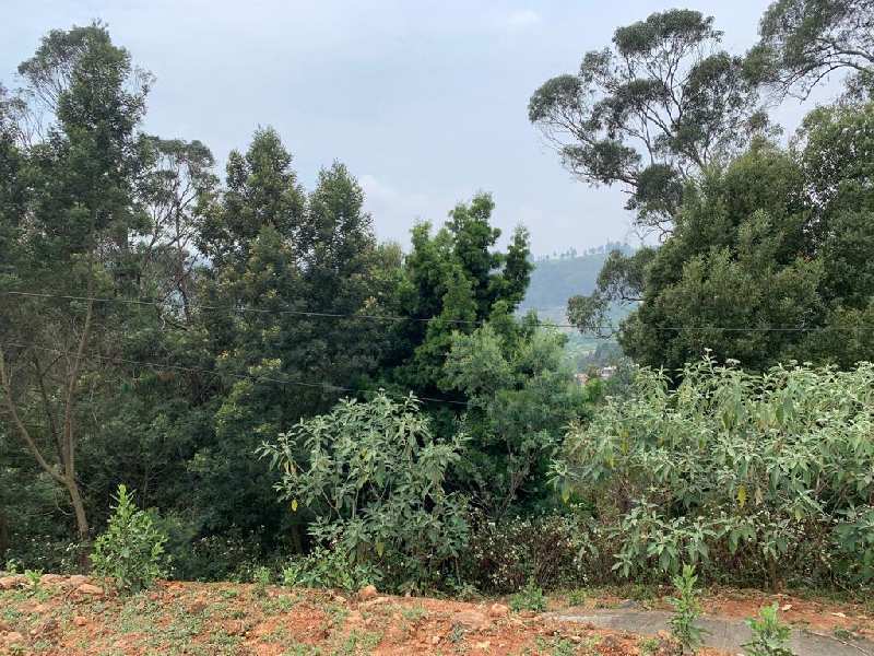 20 cents Residential plot for sale in Coonoor