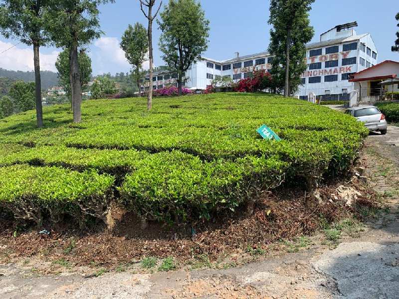 22.5 Cents Residential plot for sale in Coonoor