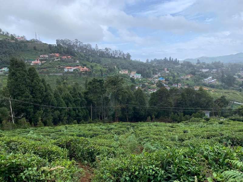 20 Cents Residential Plot for Sale in Coonoor