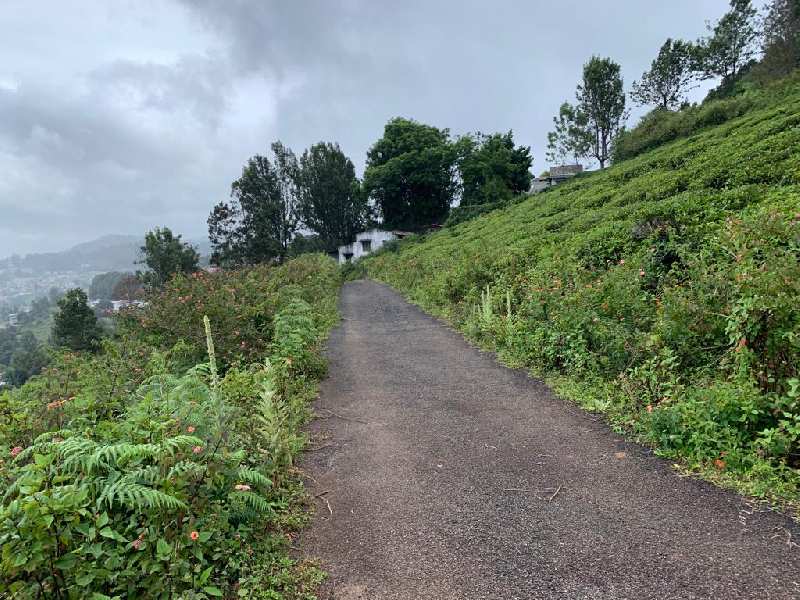 20 Cents Residential Plot for Sale in Coonoor