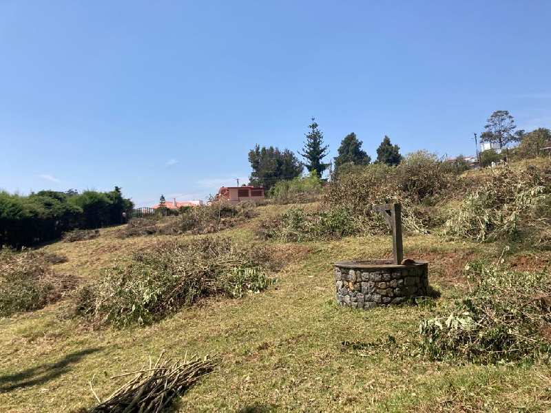 Prime residential land for sale in lovedale, ooty