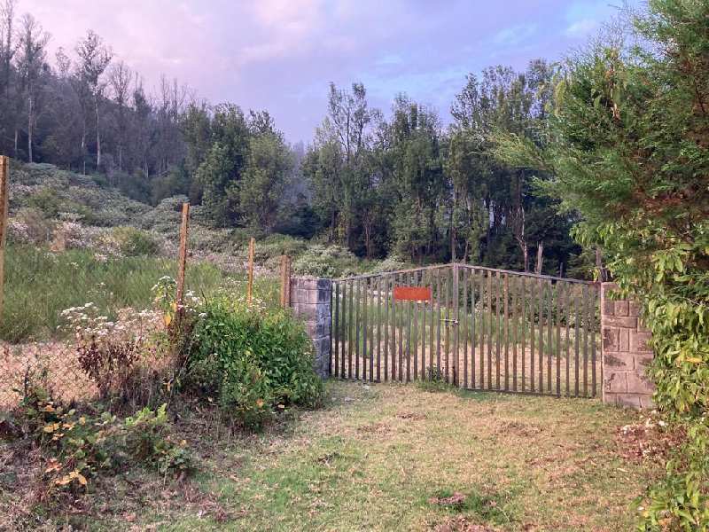 Prime residential land for sale in lovedale, ooty