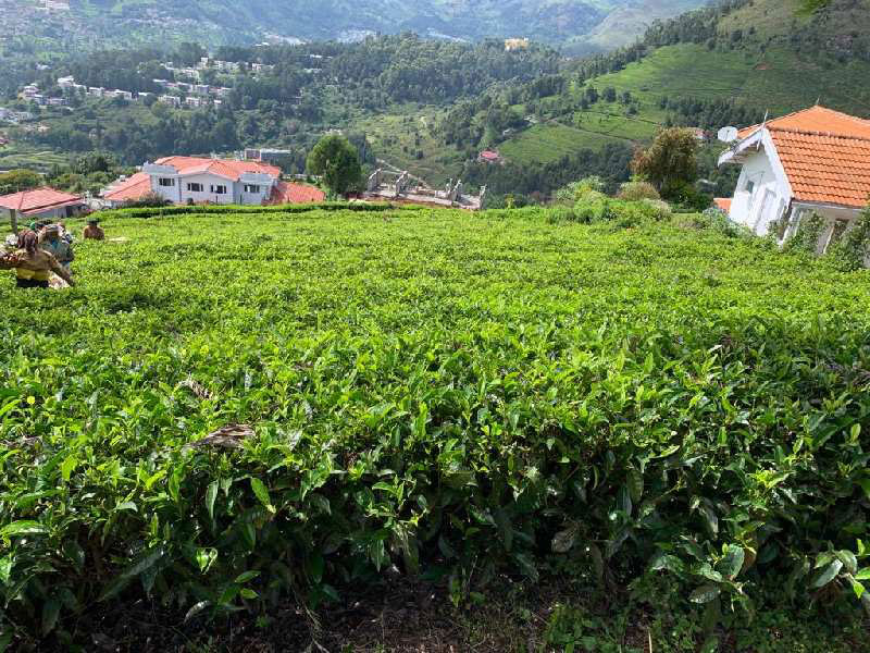 Gated Community Residential plot for sale in Coonoor