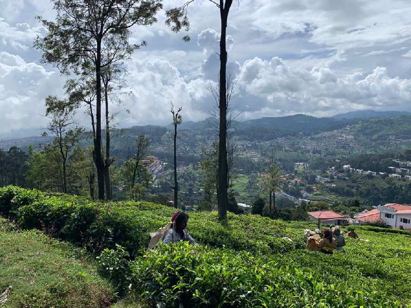 Gated Community Residential plot for sale in Coonoor