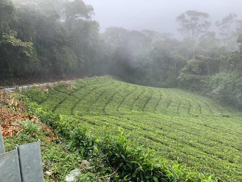 1 ACRE and 5 cents  LAND FOR SALE IN COONOOR