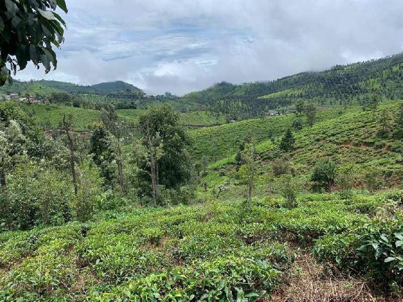 1.91 Acre Land for Sale in Coonoor