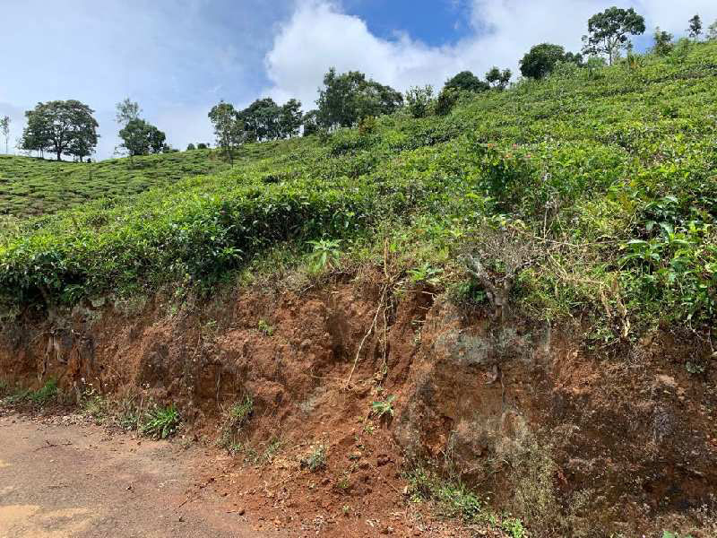 1.91 Acre Land for Sale in Coonoor