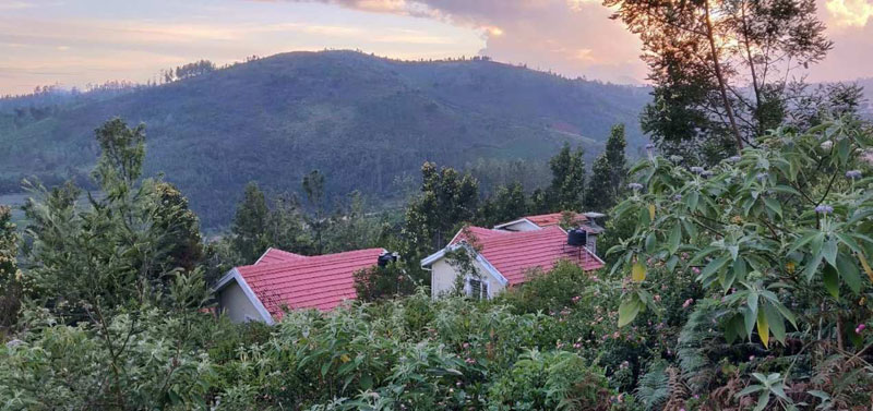 2 cottages of gated  community for sale in,ooty