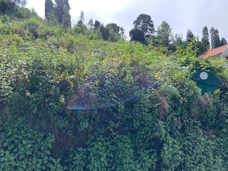 Gated community Plot for sale in Coonoor