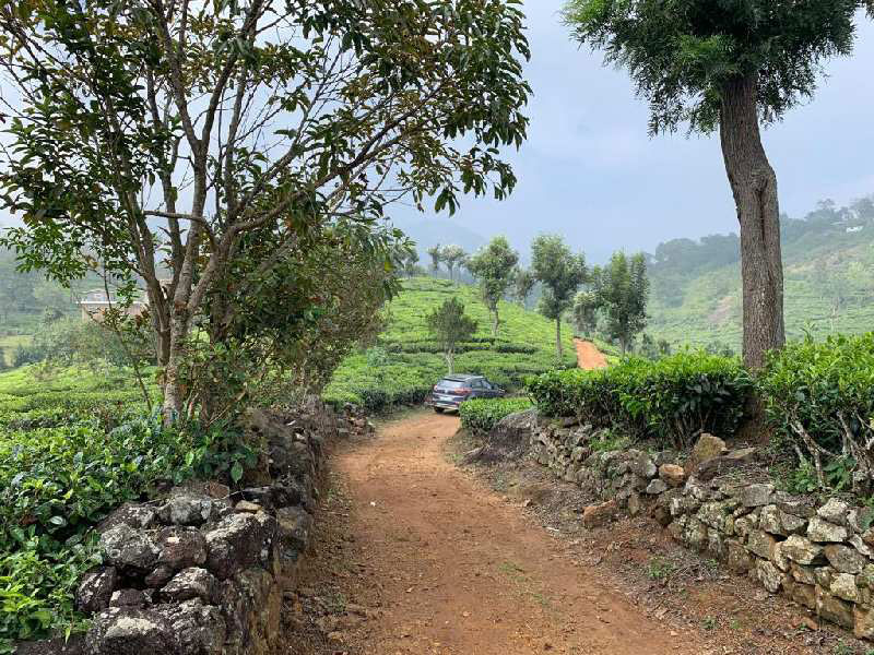 75 Cents Residential plot for sale in Coonoor