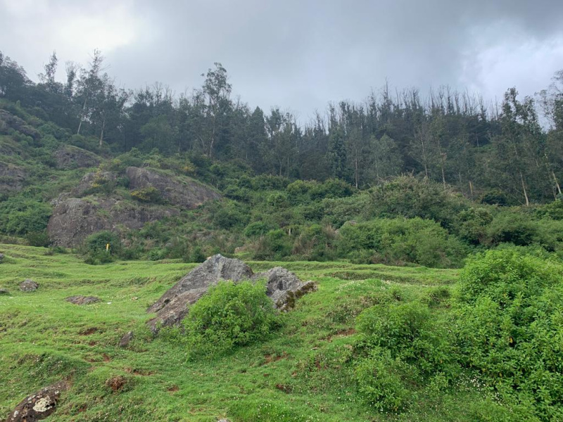 Residential land for sale in ooty