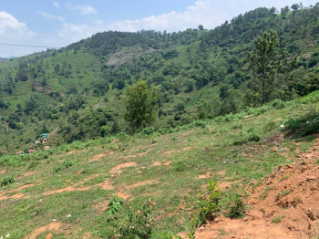 RESIDENTIAL LAND  FOR SALE IN COONOOR