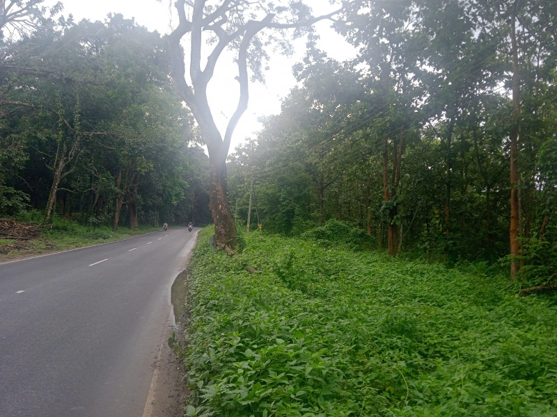 2.85 Acre Residential Plot for Sale in Mysore Road, Ooty