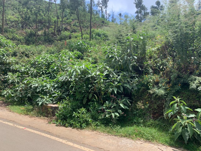 Residential plot for sale in Ketti, Ooty