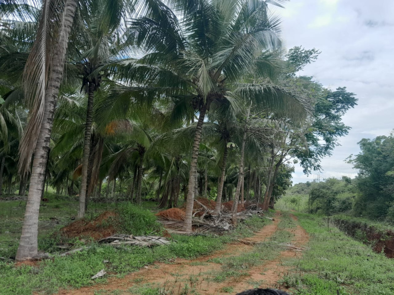 Agricultural land for sale in Mettupalayam