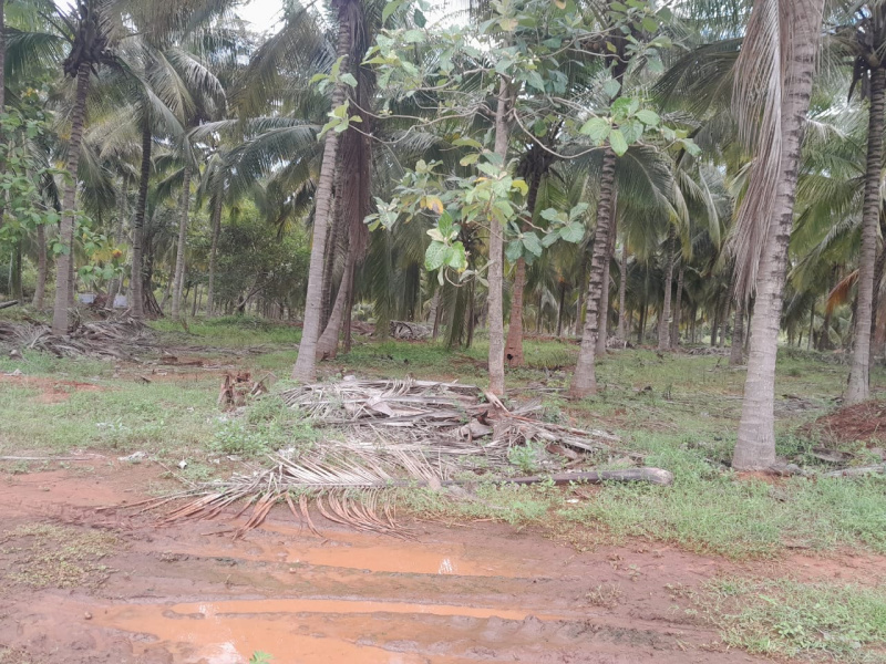 Agricultural land for sale in Mettupalayam