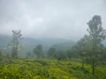 Residential land for sale in Coonoor