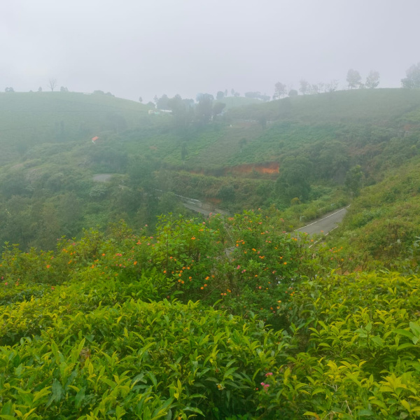 Residential land for sale in Coonoor