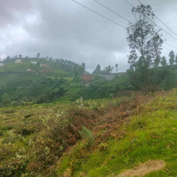 1.3 Acres Land for Sale in Ooty
