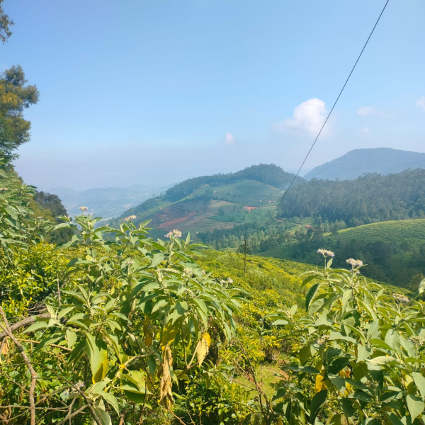 RESIDENTIAL LAND FOR SALE IN OOTY