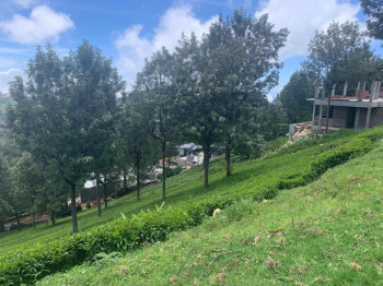 60 Cent Residential Plot for Sale in Coonoor, Nilgiris