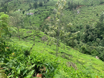 Residential land for sale in Coonoor