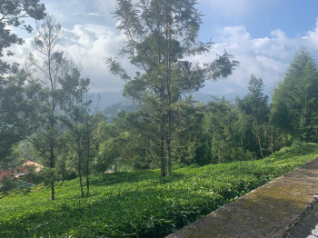 Residential plot for sale in Coonoor