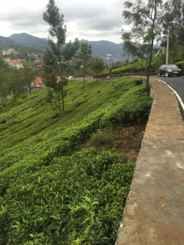 Residential plot for sale in Coonoor