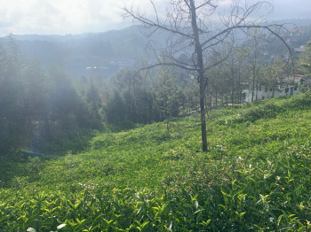 Residential plot for sale in Coonoor