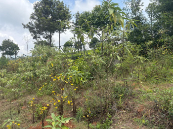 Residential plot for sale in Ketti, Ooty