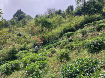 Residential plot for sale in Kotagiri