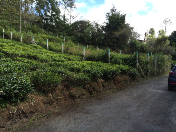 Residential plot for sale in Kotagiri