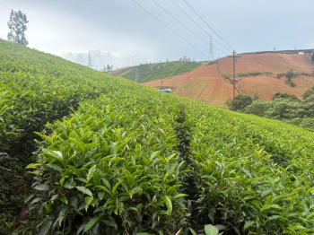 Residential land for sale in Kotagiri