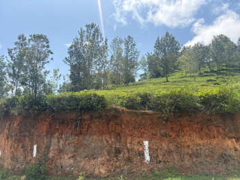 Residential plot for sale in Coonoor