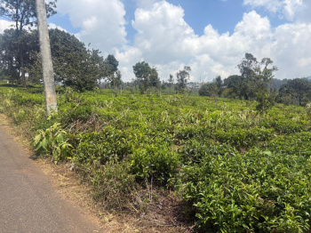 Residential plot for sale in Coonoor