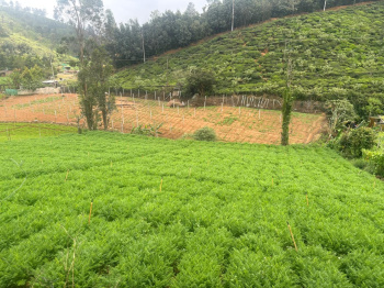 Residential plot for sale in Coonoor