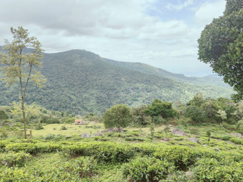 Residential Land for sale in Kotagiri