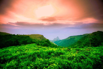 Residential Kotagiri for sale in Kotagiri