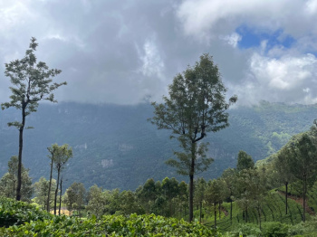 Residential Land for sale in Coonoor