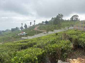 Residential Land for sale in Ooty