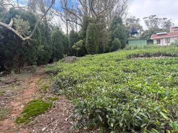 Residential plot for sale in Coonoor