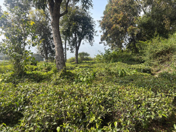 Residential plot for sale in Coonoor