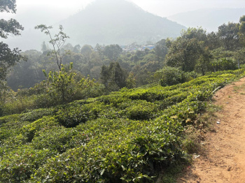 Residential plot for sale in Coonoor