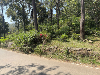 Residential plot for sale in Coonoor