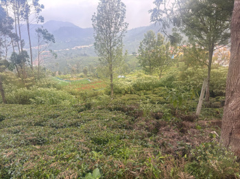 Residential plot for sale in Kotagiri