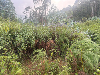 Residential plot for sale in Kotagiri